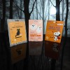 5 Mascarillas Faciales Coreanas Made In Korea Meowgical