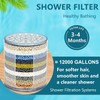 HODSEUKIN Shower Head Replacement Filter Cartridge - Compatible with Eskiin