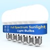 Neporal Full Spectrum Light Bulb, 6000K UV-Free Daylight Sunlight Light