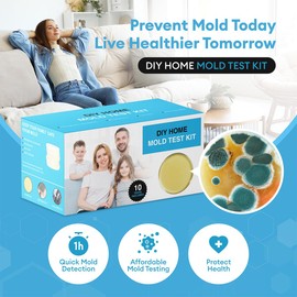 Mold Test Kit for Home - 10 Individual Black Mold Testing Kit Air, at Home Mold Testing Kit for Indoor Air Quality, Includes Detailed Mold Identification Guide, Reliable Mold Detector Kit