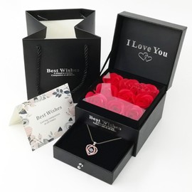 Conjunto de Caja de Regalo de Flor de Roja Rosa Eterna con Collar para de La Bella y la Bestia con 9 Rosas Flores de Regalos para Mamá,Romántico Regalo para Mujer, San Valentín, Navidad (Negro)