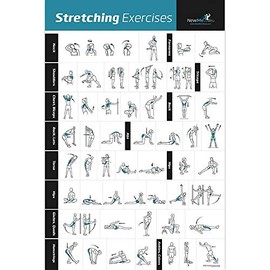 NewMe Fitness Workout Posters for Home Gym, Stretching Exercise Posters for Full Body Workout, Core Abs Legs Glutes & Upper Body Training Program 1 Pack