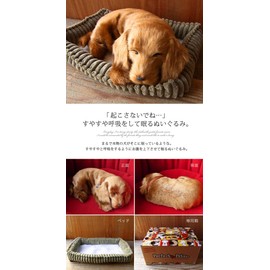 Ninia and Kino Perfect Pet Dachshund Smooth, Size S, Approx. 8.7 inches (22 cm), Plush Toy, Dog, Life-Like, Stomach Moves Like Dog Is Sleeping Peacefully