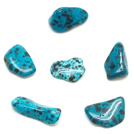 Blue Dalmatian Jasper Tumbled Set (Small)