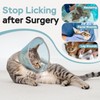 Supet Cat Cone Collar Soft Comfortable Adjustable Waterproof cat recovery