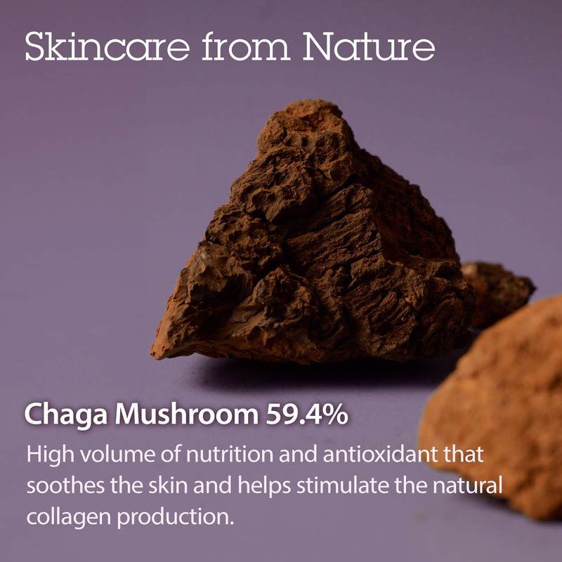 BLITHE Pressed Serum Tundra Chaga | Korean Moisturizer | Anti