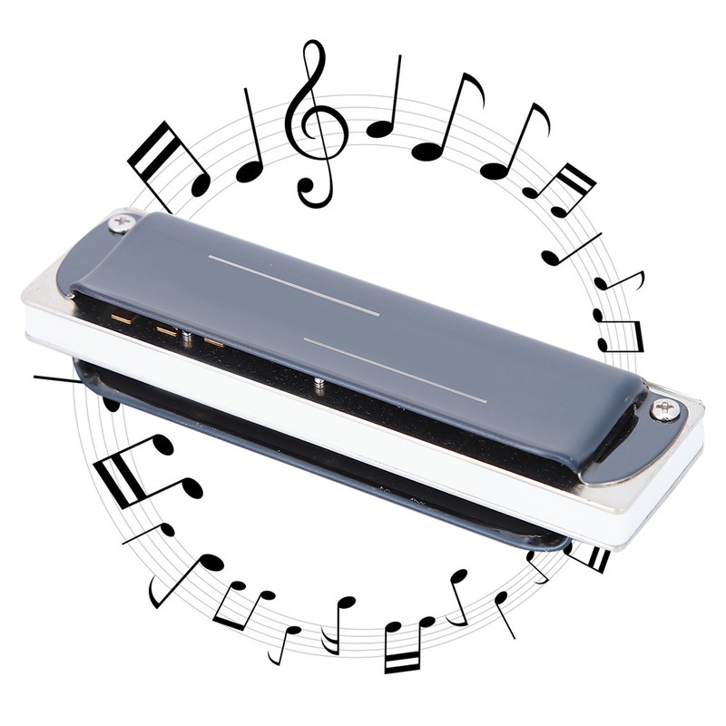 Blues Harp Harmonica 10‑Hole Professional Mouthorgan G Key Gifts Stainless