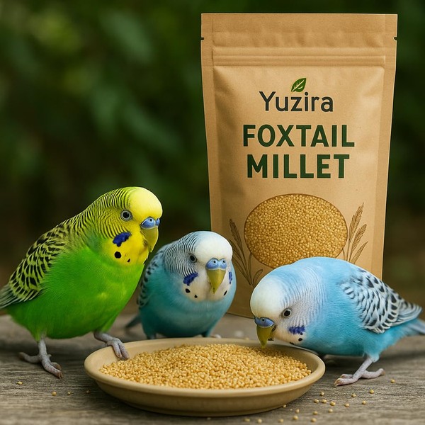 Yuzira Foxtail Millet for Birds