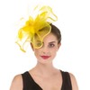 SAFERIN Fascinator Hat Feather Mesh Net Veil Cocktail Tea Party