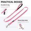 PUPTECK Reflective Dog Leash with Comfortable Padded Handle Durable Nylon