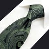 S&W SHLAX&WING Men's Tie Paisley Dark Green Silk Long, Tie