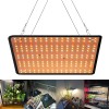 2000W LED Grow Light Full Spectrum Plant Growing Lamp for