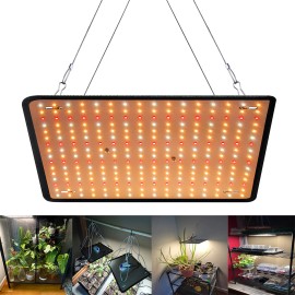 2000W LED Grow Light Full Spectrum Plant Growing Lamp for Hydroponics Veg Bloom
