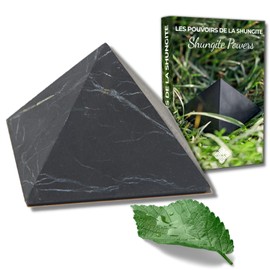 Shungite Natural Stone Unpolished 9cm