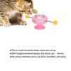 Windmill Spring Interactive Cat Catnip Toy Funny Cat Turntable Teasing
