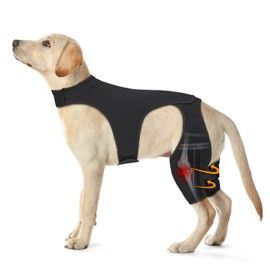 Pawfun Dog Knee Brace for Hind Legs, Adjustable Dog Leg Braces for Both Back Legs with 4 Stabilizers, Strong Support for Torn CCL, Luxating Patella, Ligament Injuries, Hip Dysplasia,L