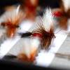 50 Premium Hand Tied Fly Fishing Flies Assortment | Fly