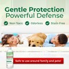 Hygea Natural Lice & Bed Bug Extra Strength Laundry Additive