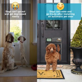 XRDZYXGS Smart Automatic Pet Door | Radar, Timer & Light Sensor Modes | Durable Aluminum, Weatherproof, Solar & USB Rechargeable | 24/7 Operation for Small Dogs & Cats (Black)