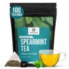 Blendart Spearmint Tea 100 Pyramid Tea Bags Premium Spearmint Leaves