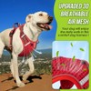 SlowTon Dog Harness for Small Medium Dogs No Pull, Breathable