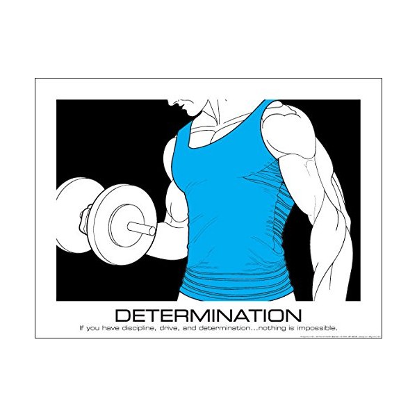 Fitnus Chart Series Male Dumbbell Curl Inspire Pose 18