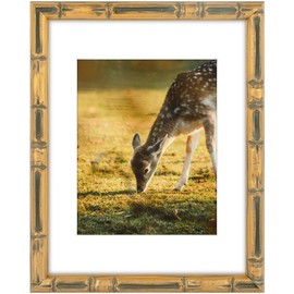 Space Art Deco, 11x14 Bamboo Style Picture Frame with White Mat for 8x10 Photo,Color Gold with Dark (Plexi Glass)