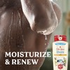 Old Spice Men's Body Wash for Men, Shore Scent, 24/7