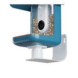 Birdbuddy Wall Mount - Versatile Bird Feeder Wall Mount for Wall & Fences - Durable, Weather-Proof Heavy Duty and Secure & Stylish Outdoor Feeder Accessory