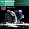 Twidec/19mm Waterproof Black Metal Shell Momentary Raised Top Push Button