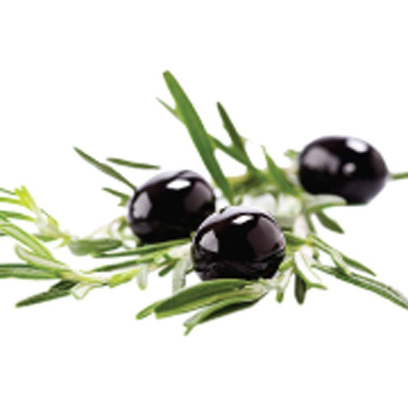 NEAL'S YARD REMEDIES Rose Conditioner Treatment, 6.8 fl oz (200