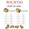 Brass Elbow, 1/2 Inch, Female and Male Thread, Threaded Fitting,