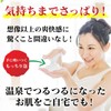 Hinoki Peatstone Face Wash Soap, Clean Type, 5.3 oz (150