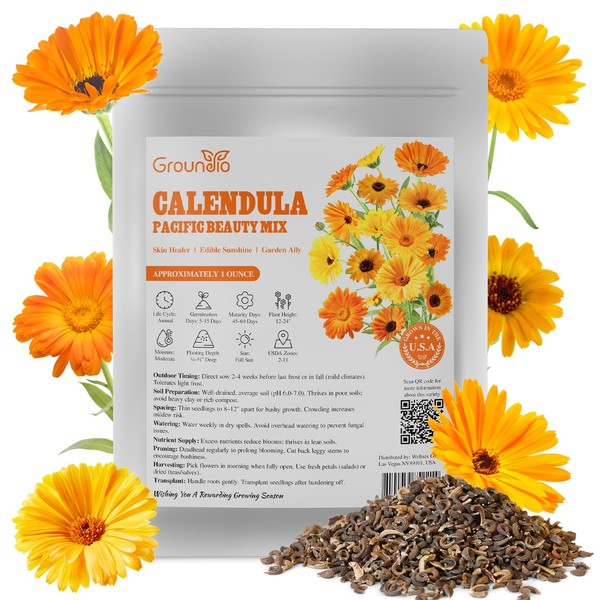 Groundio Calendula Seeds Pacific Beauty Mix, 3000+ Calendula Officinalis Seeds,
