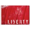 Burst Creative Typography and Quotes Wall Art Canvas Prints 'Liberty'