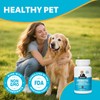 Whiskopia Probiotics for Dogs, Dog Probiotics with Digestive Enzymes with
