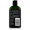 Defense Soap Peppermint Body Wash Shower Gel 12 Oz -