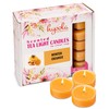 HYOOLA Scented Tealight Candles - Clear Cup - Winter Orange