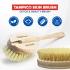 Yerba Prima Tampico Skin Brush (Pack of 2) - Natural