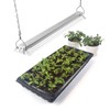 Barrina TX36 2FT LED Grow Light for Indoor Plants, 36W(200W
