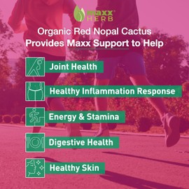 Maxx Herb Red Nopal Cactus Capsules (180 Veggie Capsules)