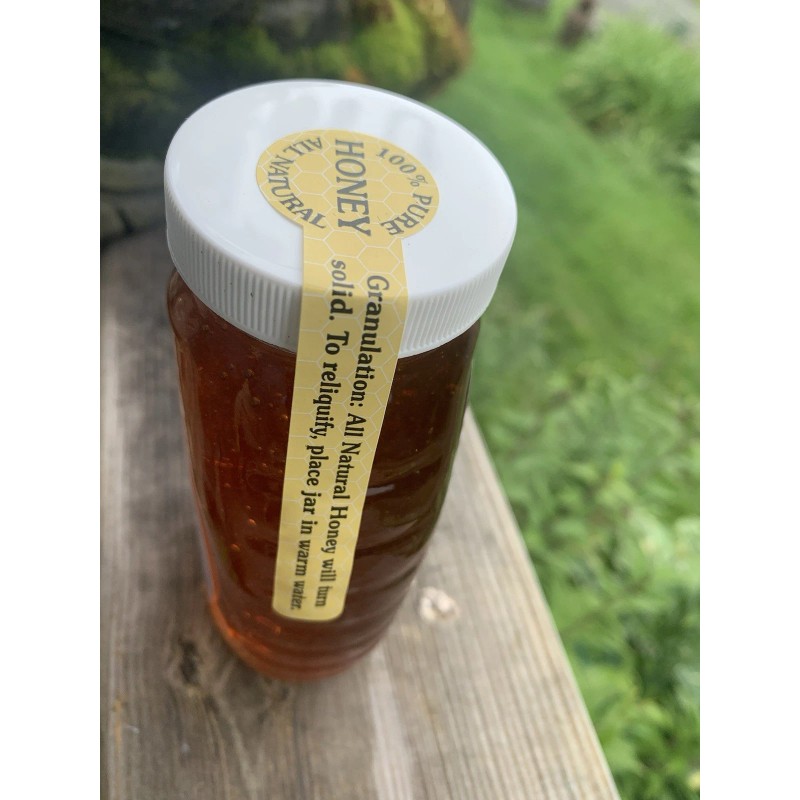 Ronstadt Apiary Pennsylvania Mountains Raw Goldenrod Honey 1lb Glass Jar