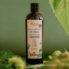 PACALLI Shampoo de Romero 2x410ml Rosemary Shampoo with Ginger Nettle
