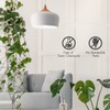 Tenergy LED Light Bulb, 9 Watts (60W Equivalent) A19 E26