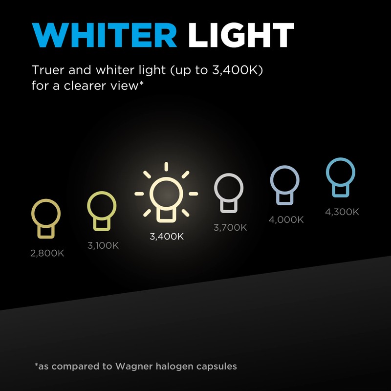 Wagner BriteLite BP9004BLX Multi-Purpose Light Bulb Card of 1