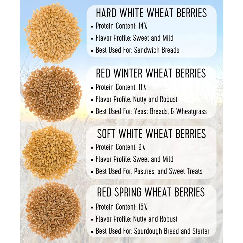 Palouse Brand 20 LBS Wheat Bundle: Hard & Soft White,