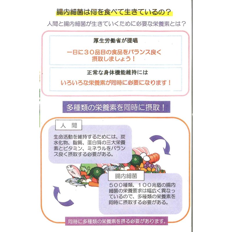 アミネビタクルクミンコッカス90粒入X1袋・アドバンス