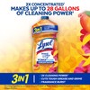 Lysol Power Clean Multi-Surface Cleaner, 2x Concentrated Pour, Mango &