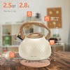 harriet Tea Kettle, Tea Pot for Stovetop, 2.5QT Whistling Kettle