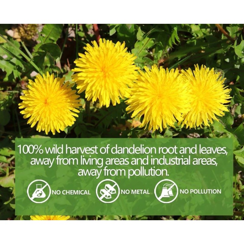 ULTHMOK Dandelion Tea, Leaf & Root Herbal 100 Tea Bags